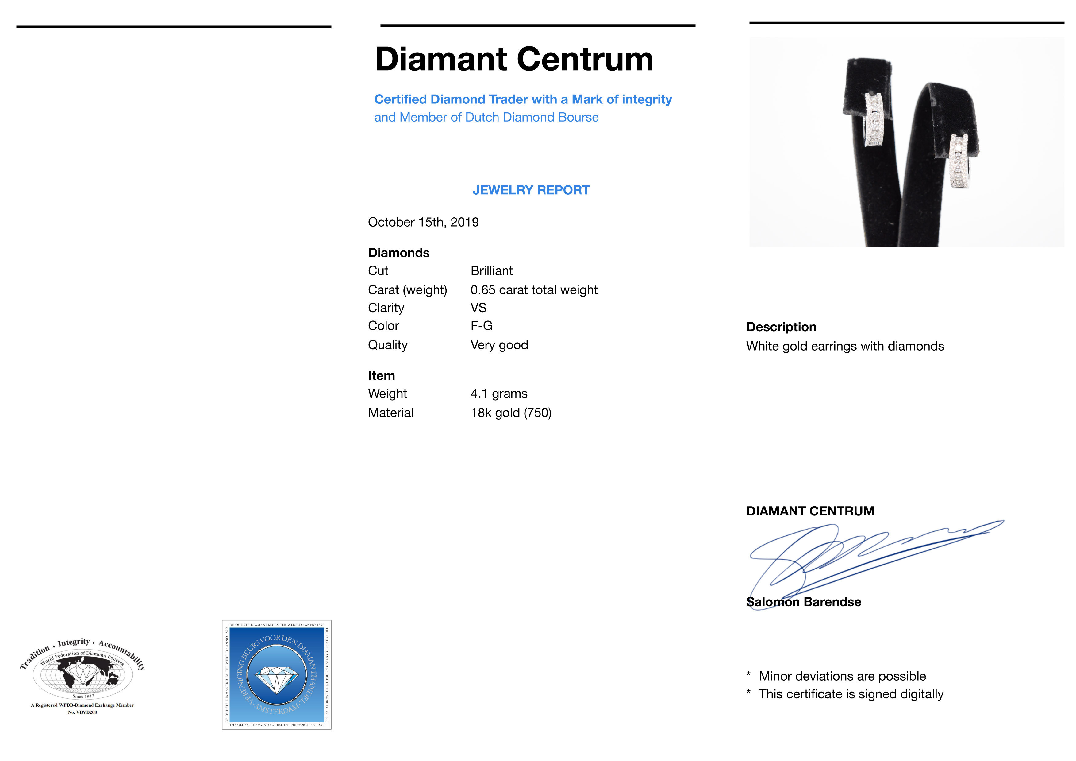 foto 1 Oorbellen diamant