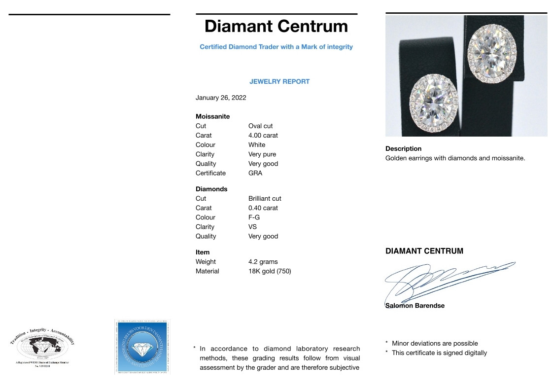 foto 9 Oorbellen diamant