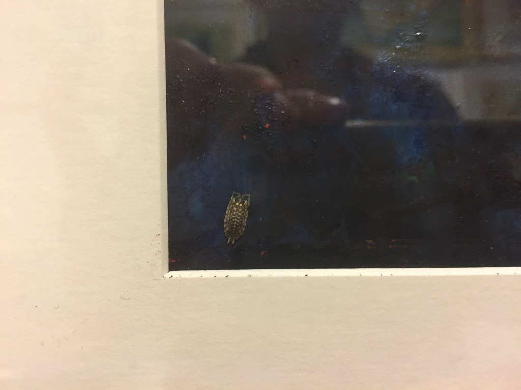 foto 1 Kunstenaar onbekend